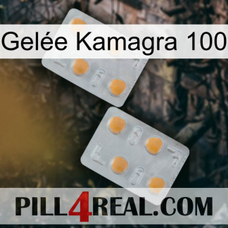 Gelée Kamagra 100 25